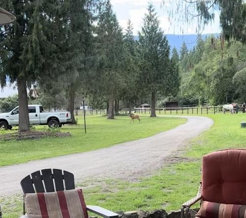 4452 Sleepy Hollow Road, Armstrong, BC - Outdoor