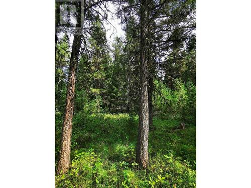 Lot 14 Park Place, Lac La Hache, BC 