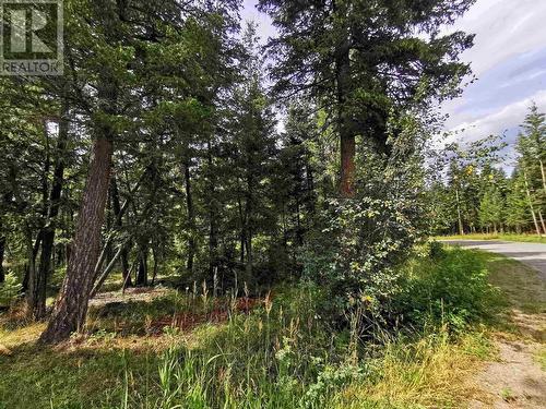 Lot 14 Park Place, Lac La Hache, BC 