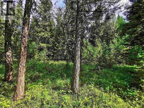 Lot 14 Park Place, Lac La Hache, BC 