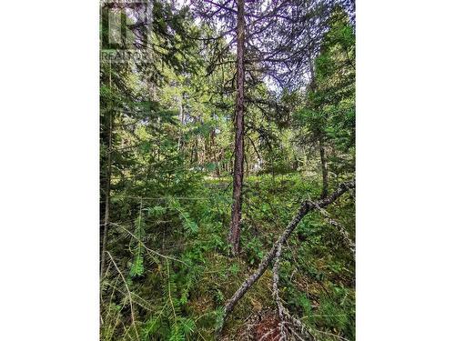 Lot 14 Park Place, Lac La Hache, BC 