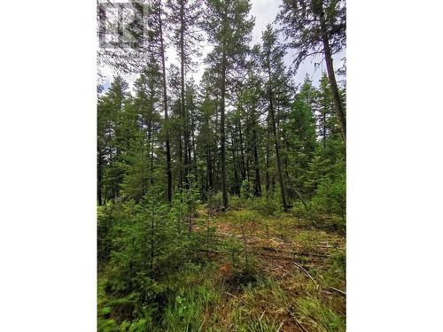 Lot 14 Park Place, Lac La Hache, BC 