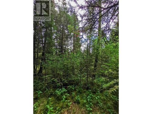 Lot 14 Park Place, Lac La Hache, BC 