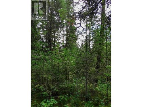 Lot 14 Park Place, Lac La Hache, BC 