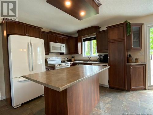 133 Du Pouvoir Road, Edmundston, NB - Indoor Photo Showing Kitchen With Double Sink