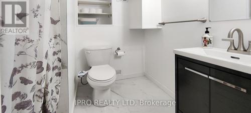 3007 Forest Glade Drive, Windsor, ON - Indoor Photo Showing Bathroom