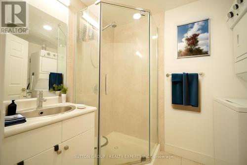 301 - 1 Wellington Street, Brantford, ON - Indoor Photo Showing Bathroom