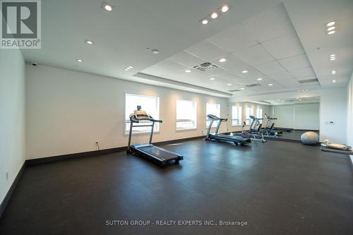 301 - 1 Wellington Street, Brantford, ON - Indoor Photo Showing Gym Room