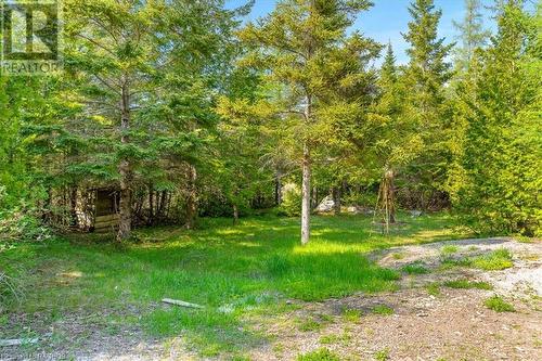 55 Forbes Road, Northern Bruce Peninsula, ON - Outdoor