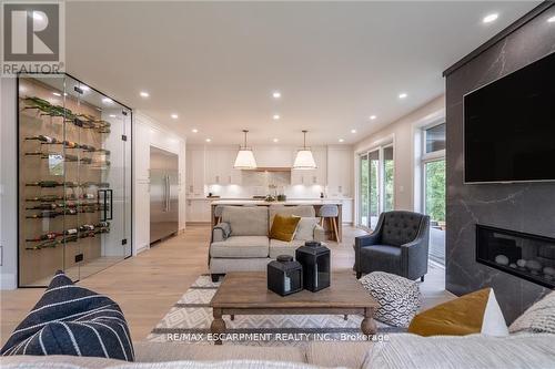 262 Robina Road, Hamilton, ON - Indoor Photo Showing Living Room With Fireplace