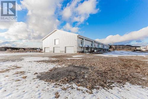 3897 Concession Rd 4, Clarington, ON 