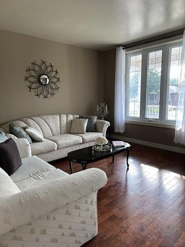 Living room - 156 Ridge Street, Hamilton, ON - Indoor Photo Showing Living Room