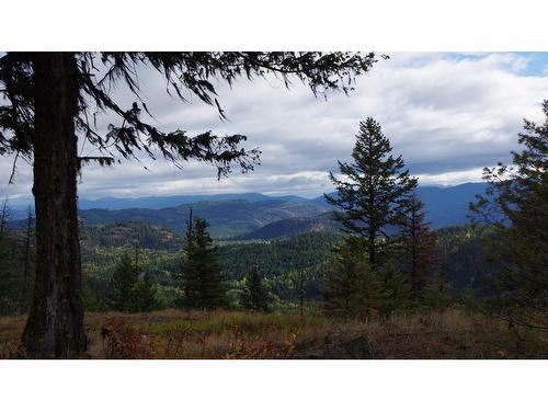 6016 Athelston-Hartford Road, Grand Forks, BC - Outdoor With View