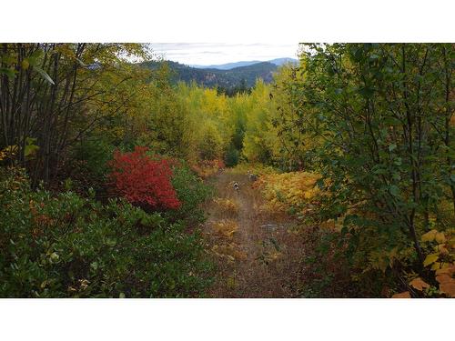 6016 Athelston-Hartford Road, Grand Forks, BC - Outdoor With View