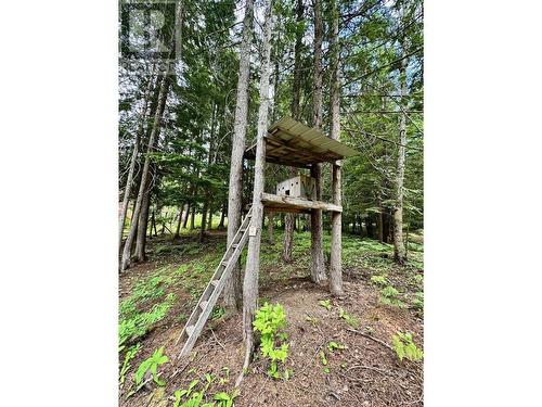 8780 Martens Road, Slocan, BC - Outdoor