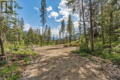 Lot 1 Sadler Road, South Slocan, BC 