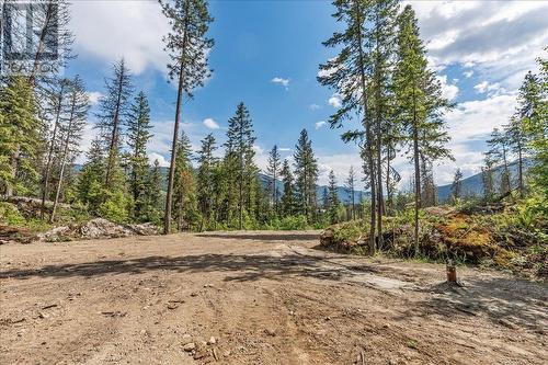 Lot 1 Sadler Road, South Slocan, BC 