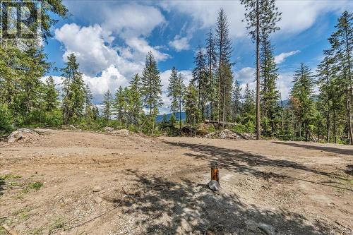 Lot 1 Sadler Road, South Slocan, BC 