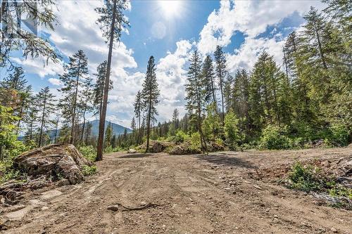 Lot 1 Sadler Road, South Slocan, BC 