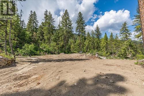 Lot 1 Sadler Road, South Slocan, BC 