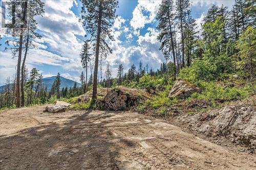 Lot 1 Sadler Road, South Slocan, BC 