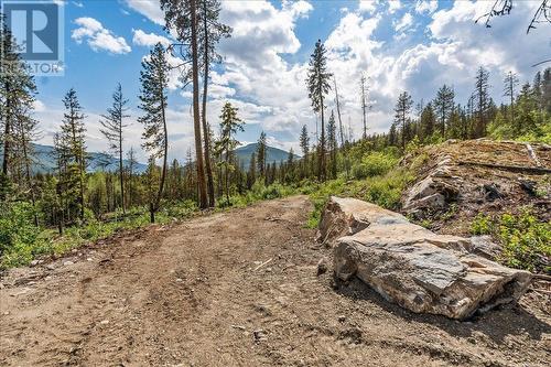 Lot 1 Sadler Road, South Slocan, BC 