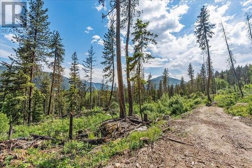 Lot 1 Sadler Road, South Slocan, BC 