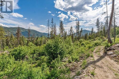 Lot 1 Sadler Road, South Slocan, BC 