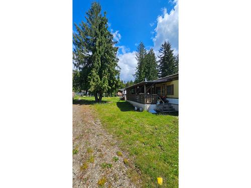 739 9Th Avenue Nw, Nakusp, BC - Outdoor