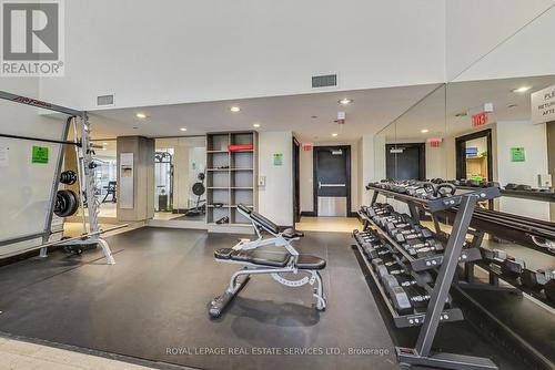 402 - 438 King Street W, Toronto, ON - Indoor Photo Showing Gym Room
