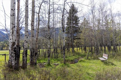 5748 Lower Elk Valley Road, Sparwood, BC - Outdoor With View