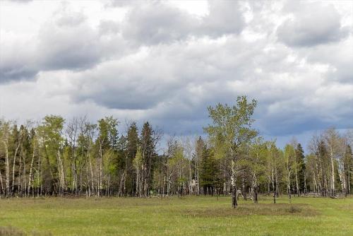 5748 Lower Elk Valley Road, Sparwood, BC - Outdoor With View