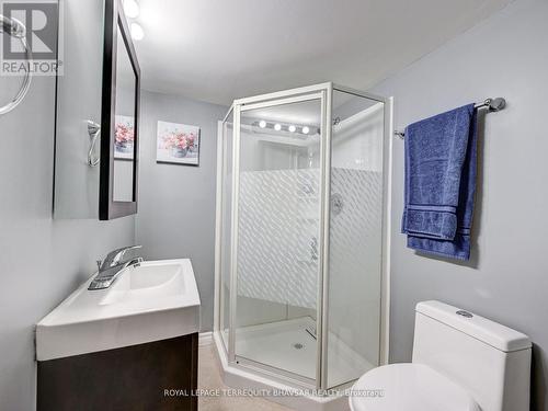 83 Sorrento Street, Kitchener, ON - Indoor Photo Showing Bathroom
