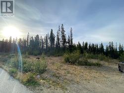 19 Buck Road  Oliver, BC V0H 1T0