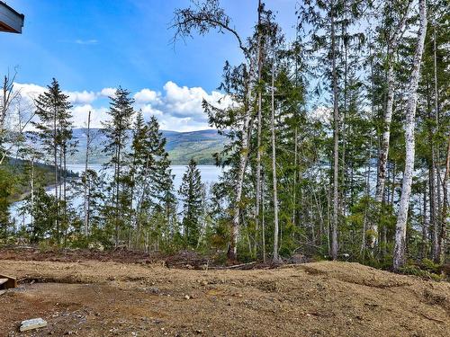 Lot 13-5600 Adams West Fsr, Adams Lake, BC - Outdoor With View