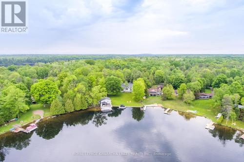 24 South Fork Drive, Kawartha Lakes, ON - Outdoor With Body Of Water With View