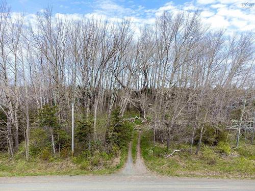 Lot Waldeck Line Road, Waldeck East, NS 