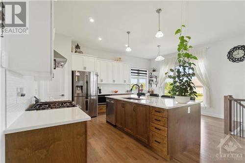 307 Johnny Porter Drive, Ottawa, ON - Indoor Photo Showing Kitchen With Upgraded Kitchen