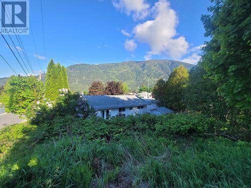 1007 Cottonwood  Street, Nelson, BC 