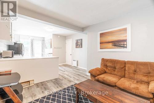 49 Paddington Avenue, London, ON - Indoor Photo Showing Living Room