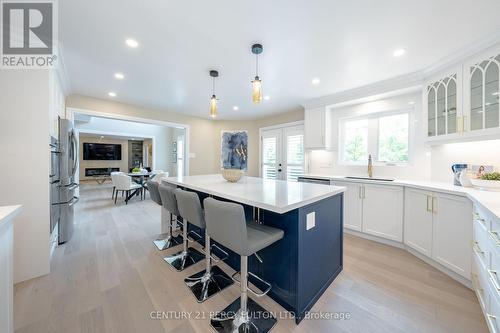 394 East Avenue, Toronto, ON - Indoor Photo Showing Kitchen With Upgraded Kitchen