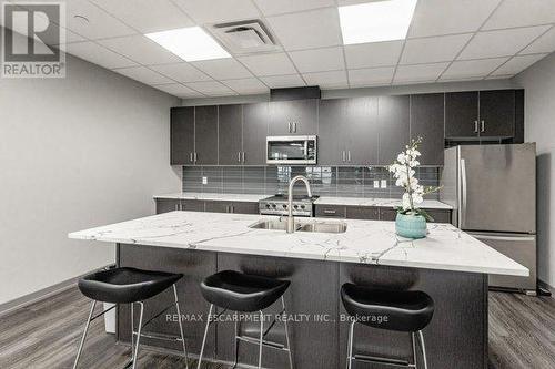 103 - 81 Robinson Street, Hamilton, ON - Indoor Photo Showing Kitchen With Upgraded Kitchen