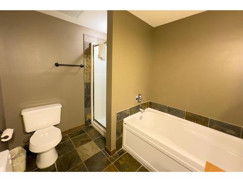 303 - 1549 Kicking Horse Trail, Golden, BC - Indoor Photo Showing Bathroom