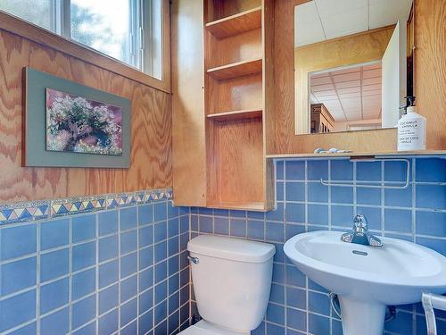 Powder room - 1795 Boul. De Boucherville, Saint-Bruno-De-Montarville, QC - Indoor Photo Showing Bathroom