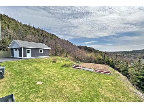 8 Big Hill Road, New Chelsea, NL 