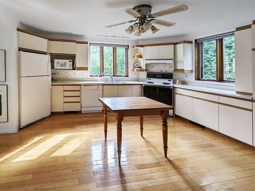 Kitchen - 336 Av. Charron, Montréal (L'Île-Bizard/Sainte-Geneviève), QC - Indoor Photo Showing Kitchen