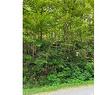 Land/Lot - 61 Ch. Du Barrage, Val-Des-Monts, QC 