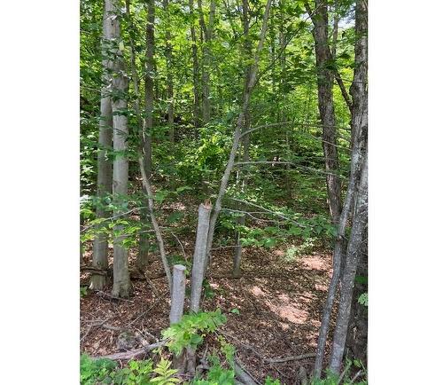 Land/Lot - 61 Ch. Du Barrage, Val-Des-Monts, QC 