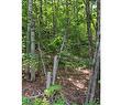 Land/Lot - 61 Ch. Du Barrage, Val-Des-Monts, QC 