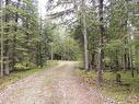 348305 4Th Concession B Rd, Grey Highlands, ON 